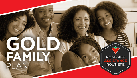 Gold Family Plan