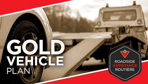 Gold Vehicle Plan